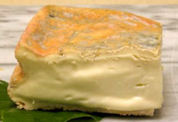 Taleggio Cheese